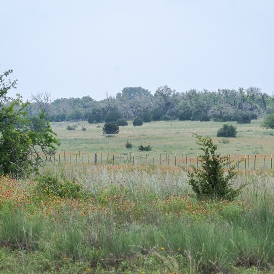 unimproved land loans